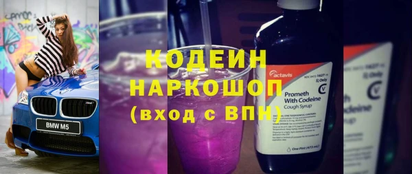 твердый Краснослободск