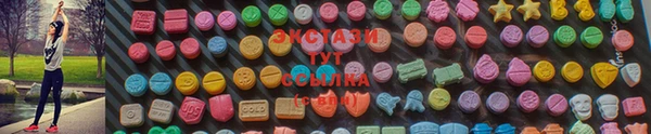 твердый Краснослободск