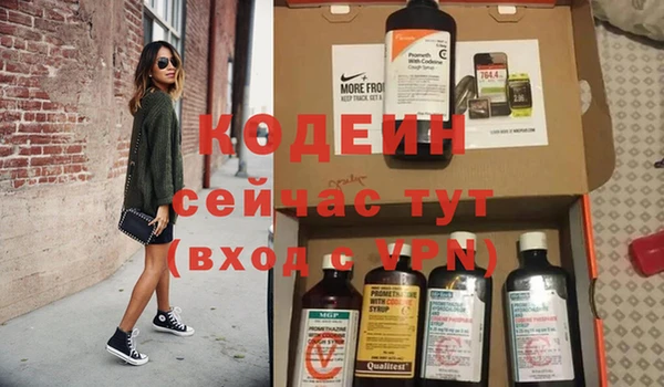 твердый Краснослободск