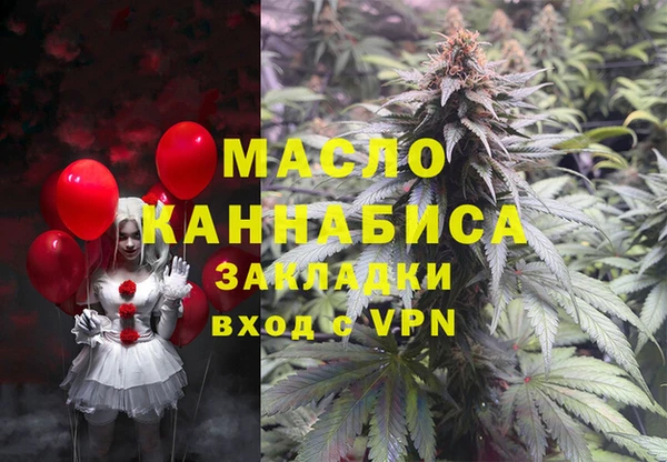 твердый Краснослободск