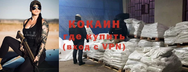твердый Краснослободск