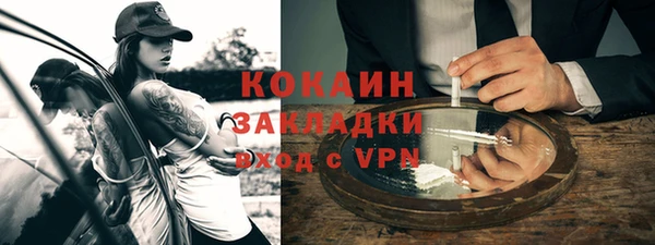 шишки Краснотурьинск